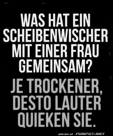 Scheibenwischer