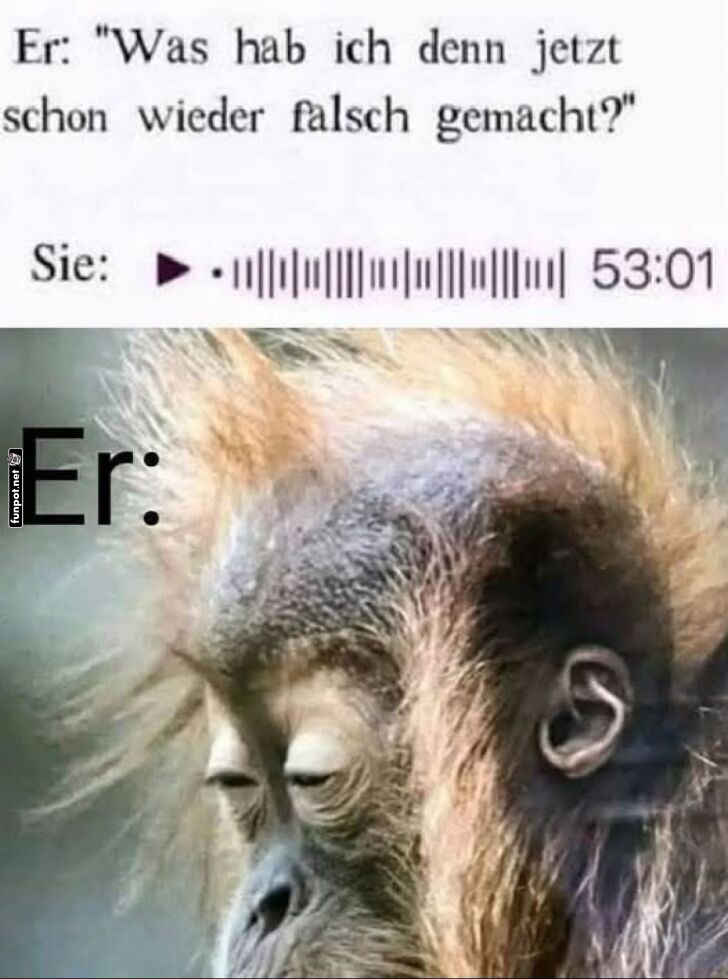 Wenn der Monkey kein Bock auf Drama hat