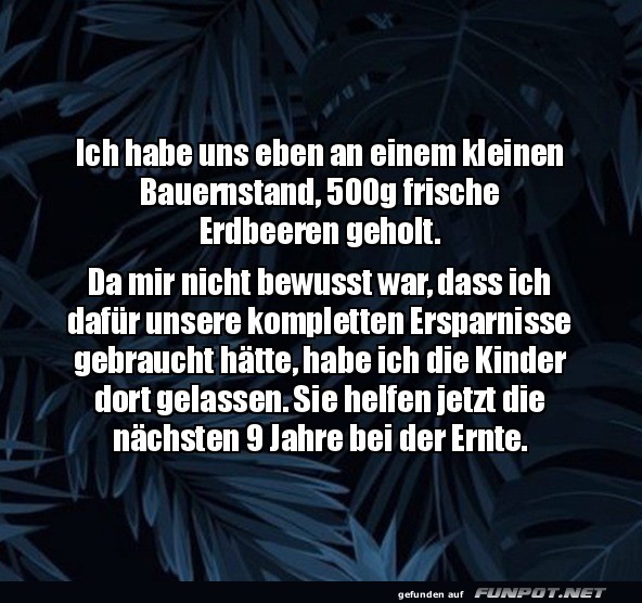 Ziemlich teure Erdbeeren