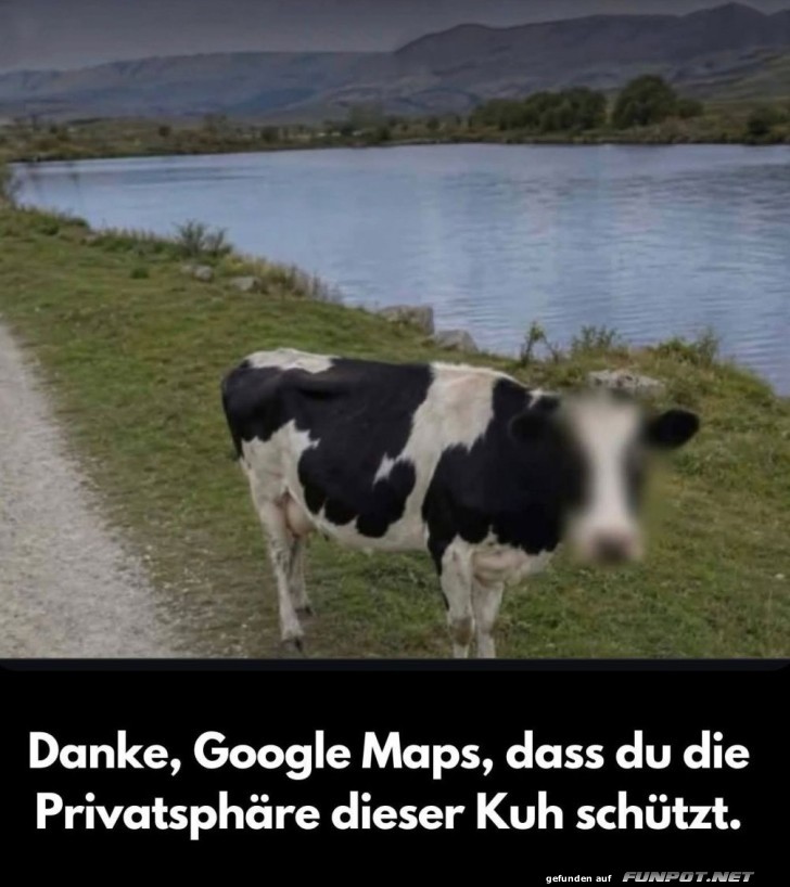 Moo-spionage vereitelt!