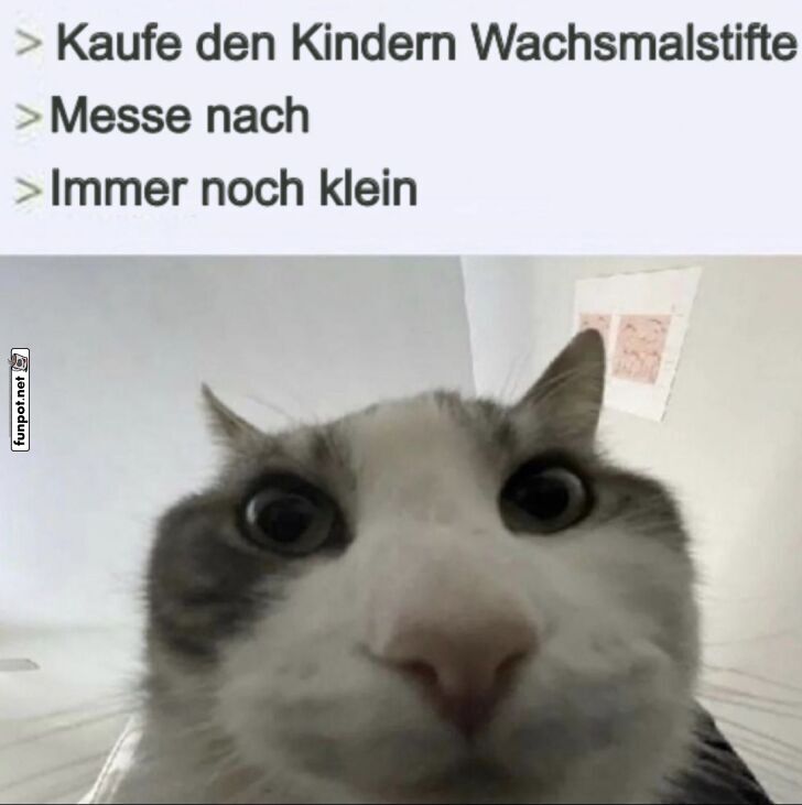 Katzenlogik: Messfehler garantiert!