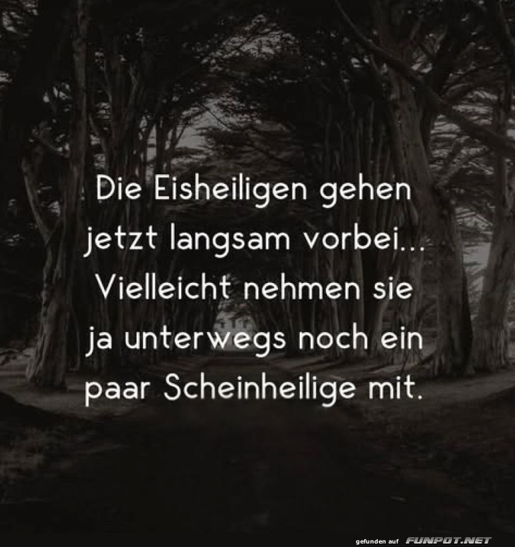 Eisheilige im Schlepptau der Scheinheiligen