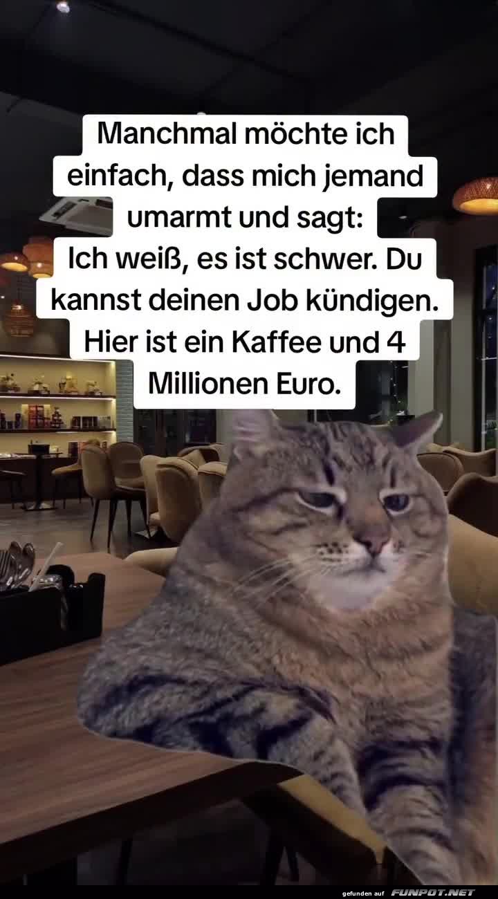 Katzenkredite und Koffeintr�ume