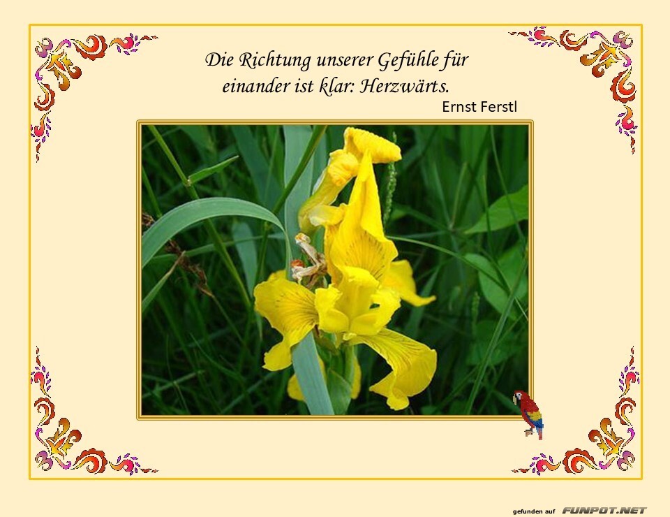 Die Richtung unserer Gef�hle