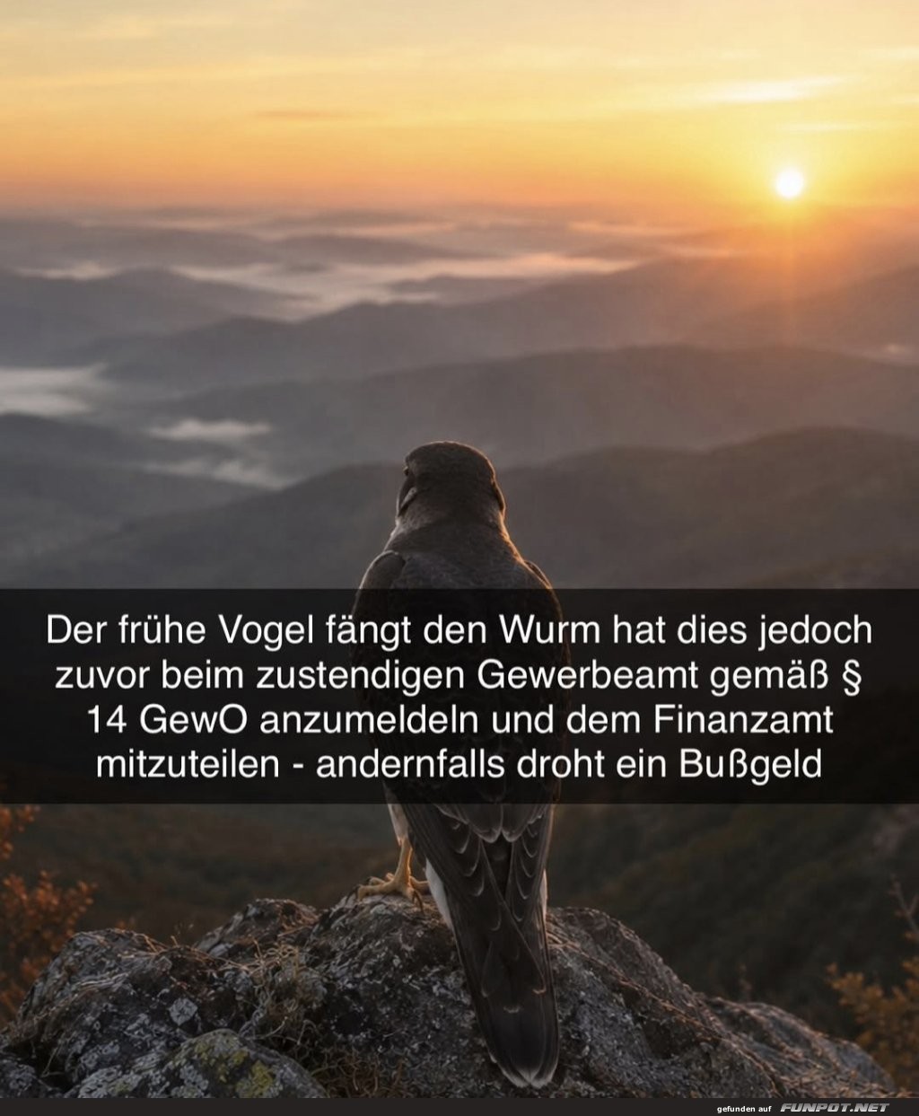Fr�haufsteher mit B�rokratie-Biss