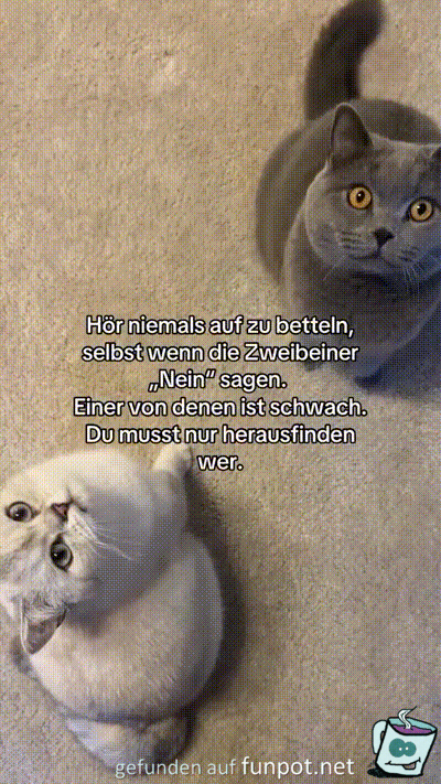 Bettel immer weiter