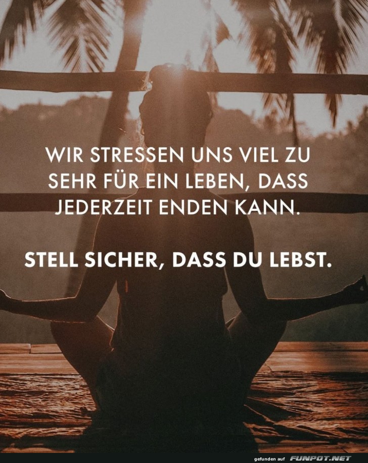Lebe