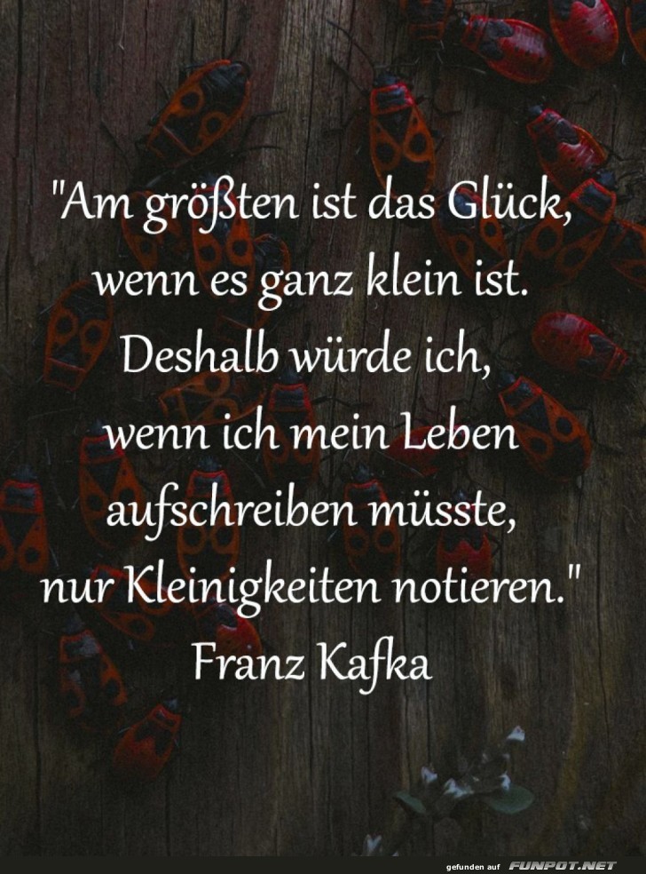 Kleine Gl�cksmomente, gro�e K�ferparty!