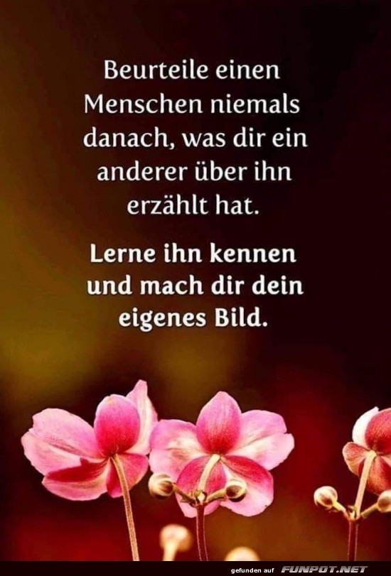 Blumenratschlag: Vorsicht vor Klatsch!