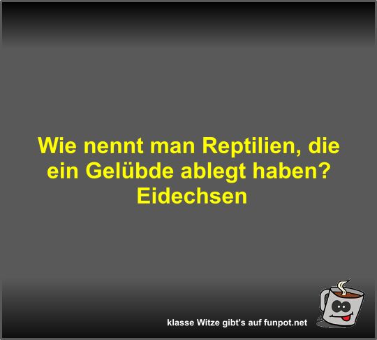 Wie nennt man Reptilien Wie nennt man Reptilien