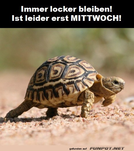 Gemütlichkeit am Mittwoch