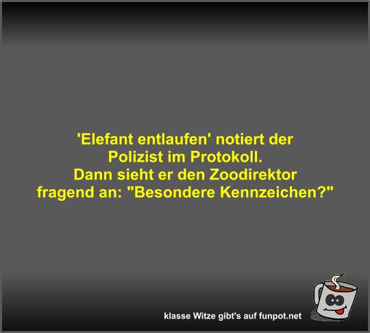 'Elefant entlaufen' notiert der Polizist im Protokoll 'Elefant entlaufen' notiert der Polizist im Protokoll