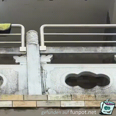 Hunde-Guckl�cher