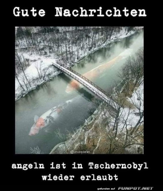 Fische angeln 2.0: Chernobyl Edition