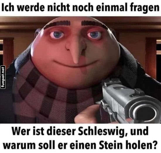 Gru hat Fragen zu Schleswig und Steinen!