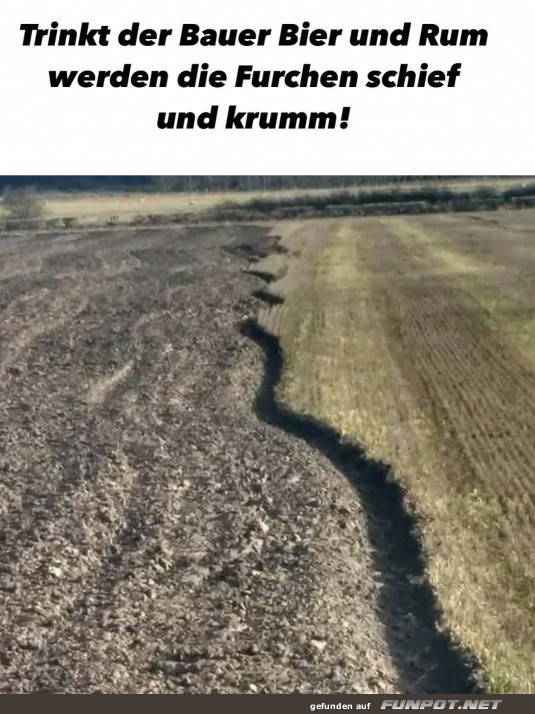 Kurvenreiche Feldabenteuer!