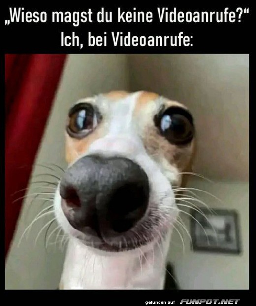 Wenn der Videoanruf alle überrascht!