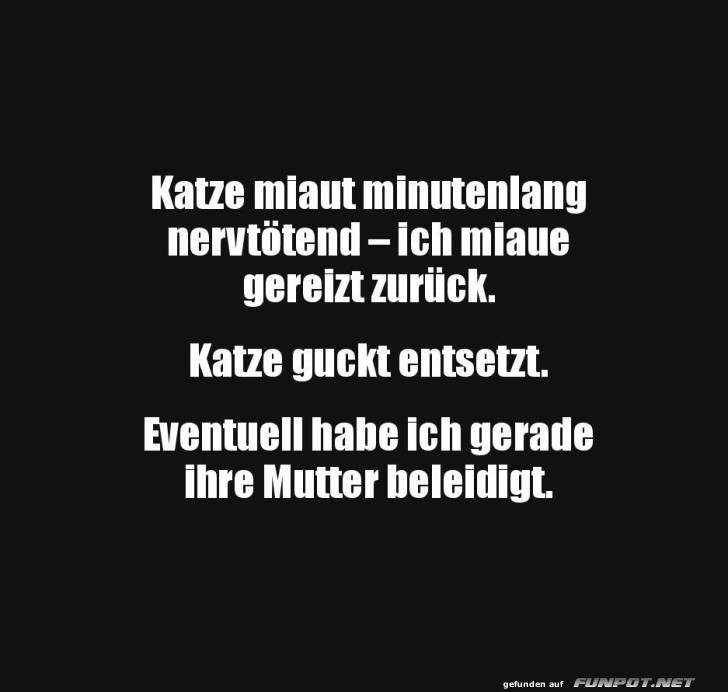 Wenn Miauen zum Missverst�ndnis wird