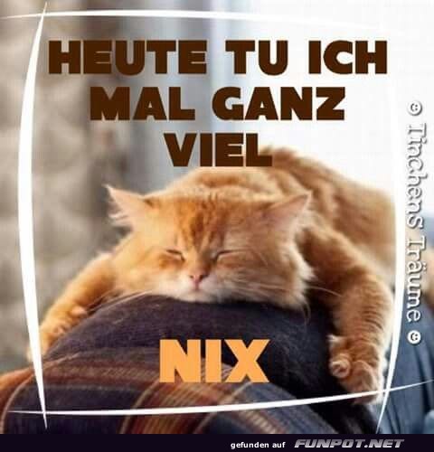 Ganz viel nix