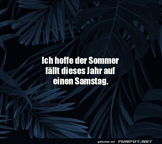 Sommer am Samstag