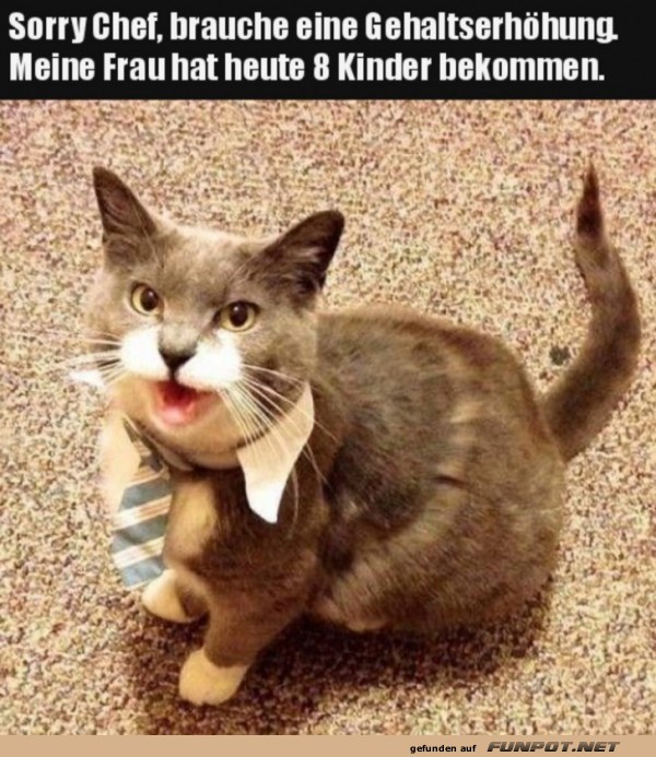 Ich brauche eine Gehaltserhöhung