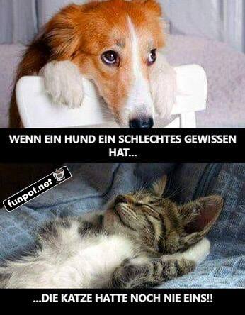 Unschuldsengel vs. Schlafprofi