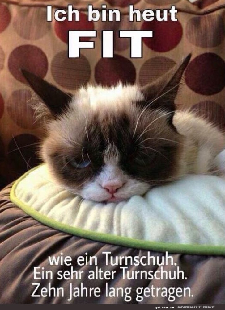 Der Grumpy Turnschuh
