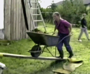 Ziemlich dumm gelaufen