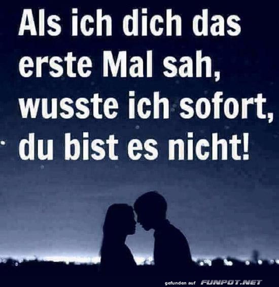Liebe auf den ersten Blick... oder doch nicht?
