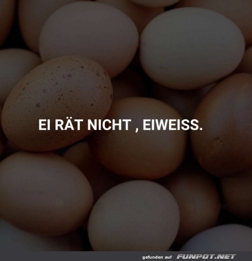 Ei-rwitzige Weisheit am Frühstückstisch