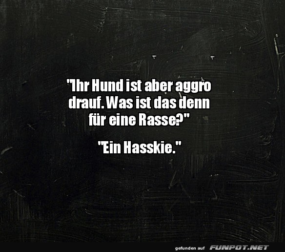Ein Hasskie mit viel Humor!
