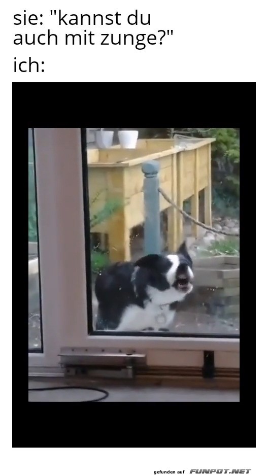 Lustiger Hund