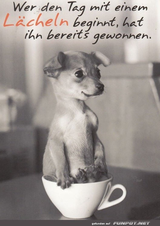 Den Tag mit einem L�cheln beginnen