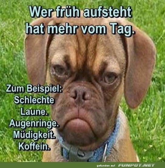Wer früh aufsteht