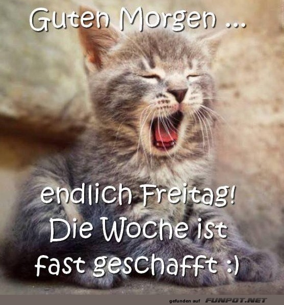 guten Morgen am Freitag