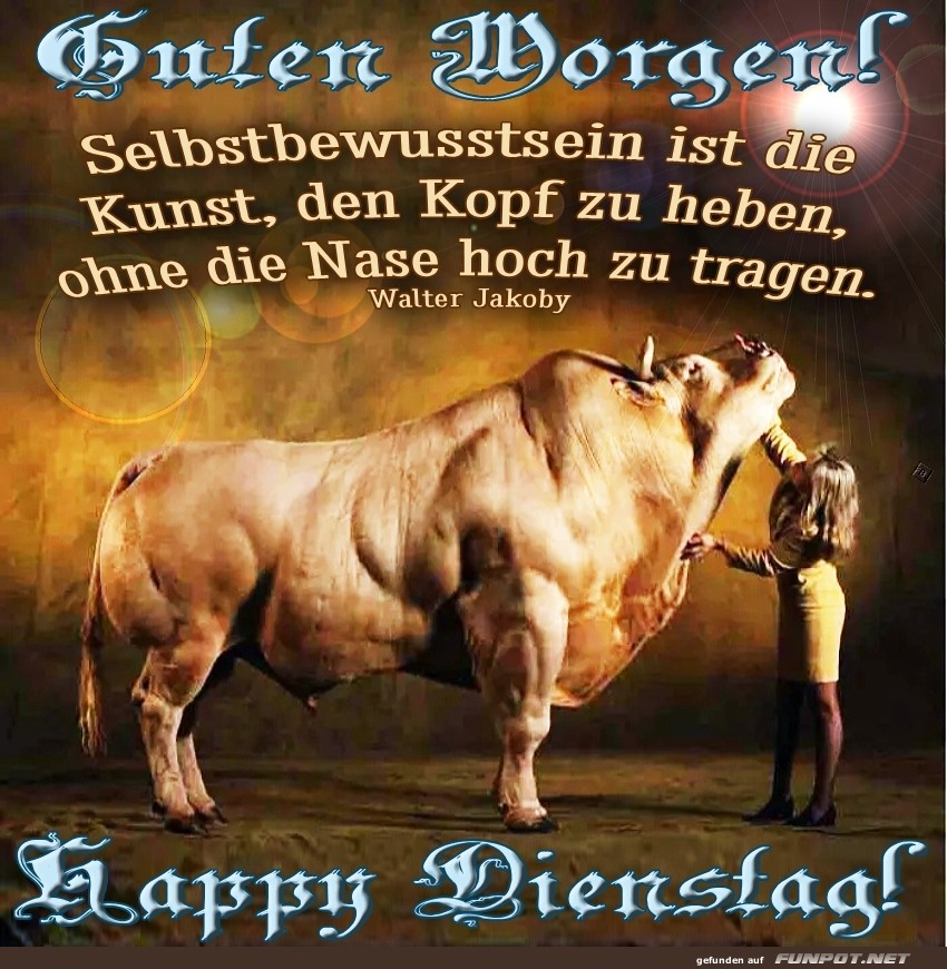 Stier-starke Motivation am Dienstagmorgen!
