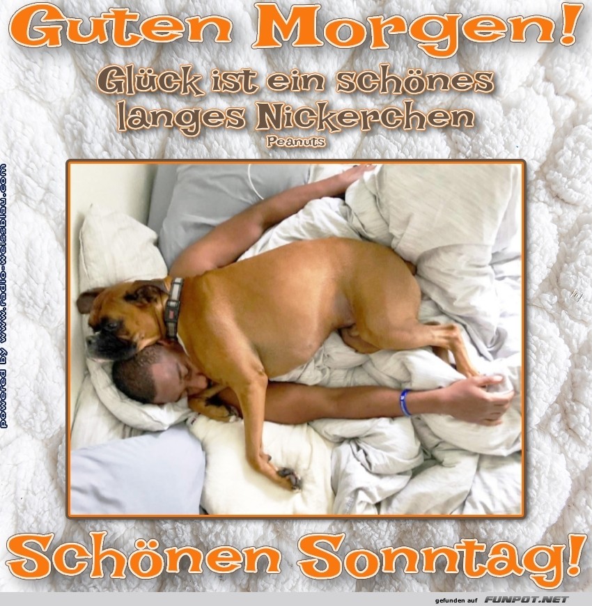 Schlafexperten auf vier Pfoten!