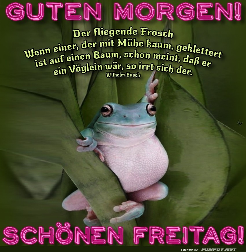 Freitag