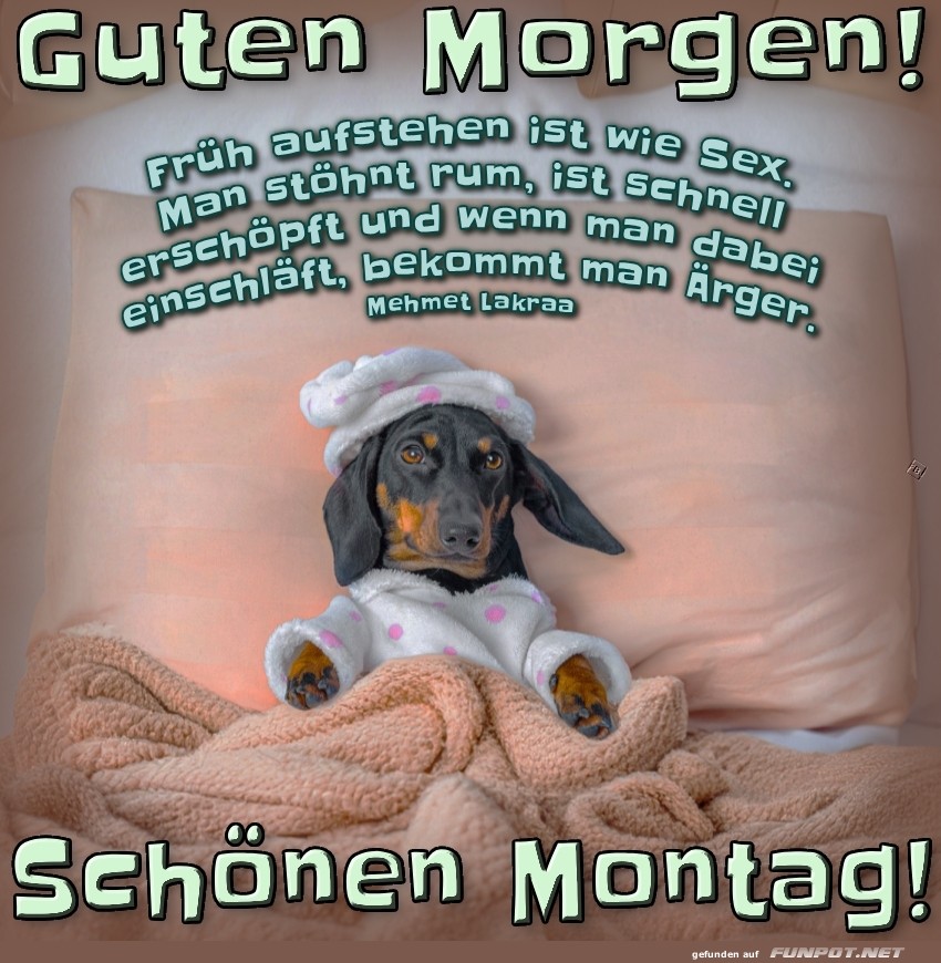 Montagmorgen im Dackel-Pyjama-Chic