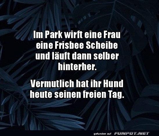 Frisbee-Chaos ohne Hund!