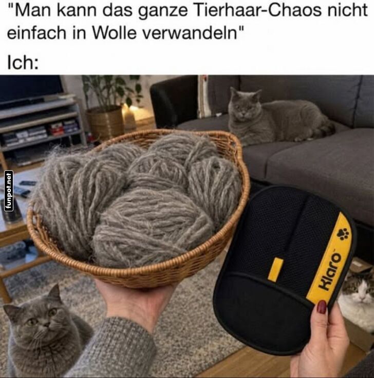 Katzenhaare? Kein Problem!