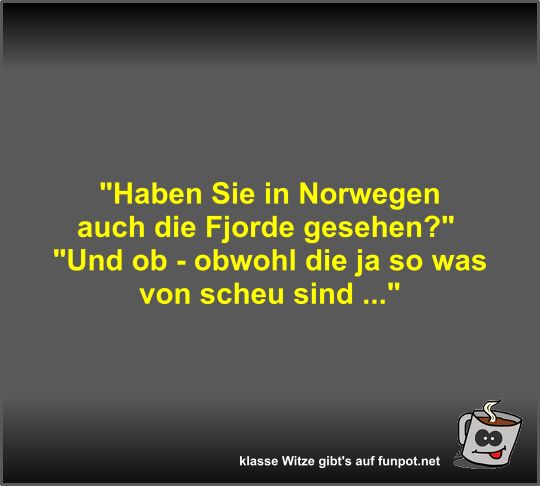 Haben Sie in Norwegen auch die Fjorde gesehen?