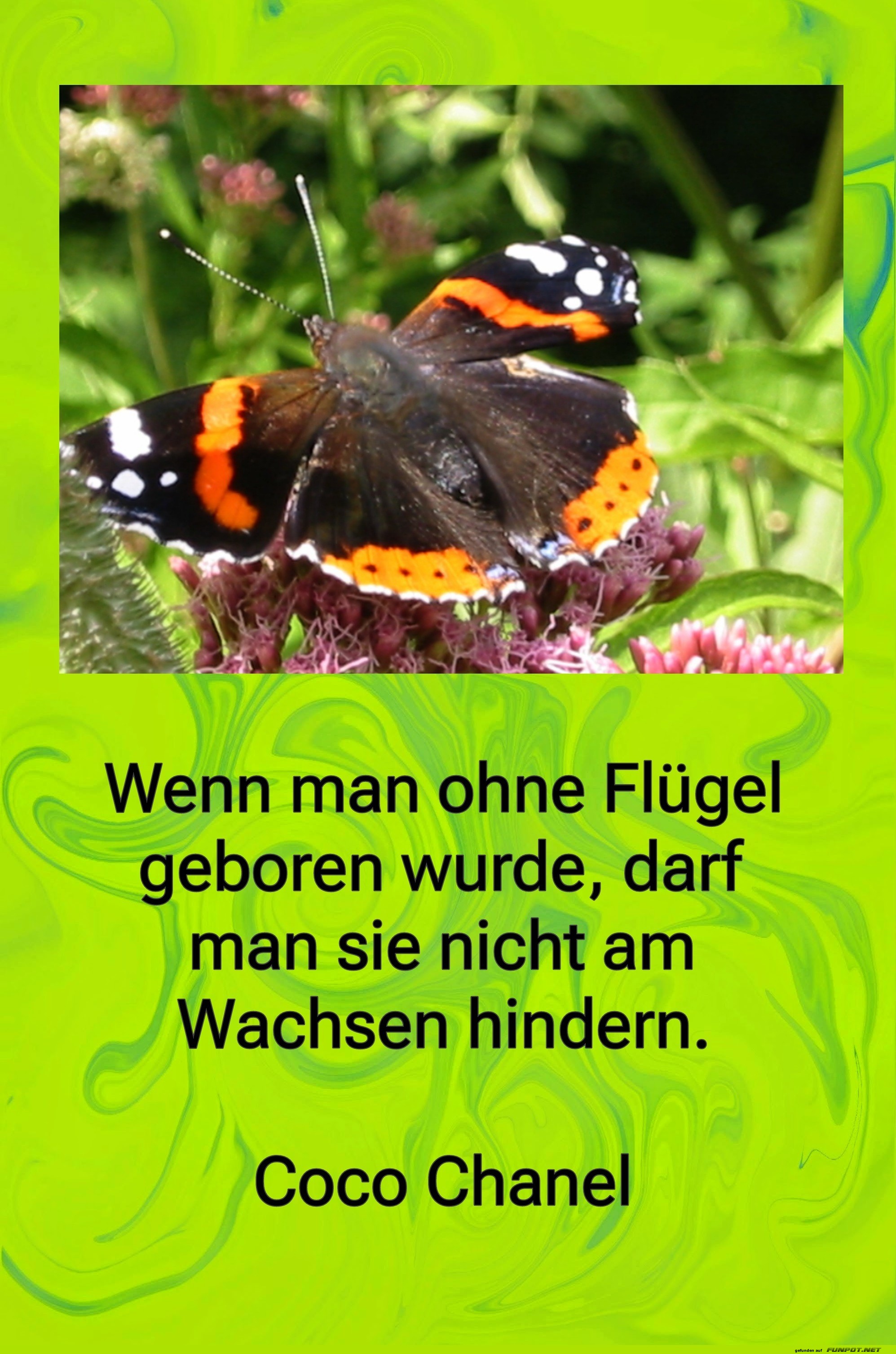 wenn man ohne fl�gel