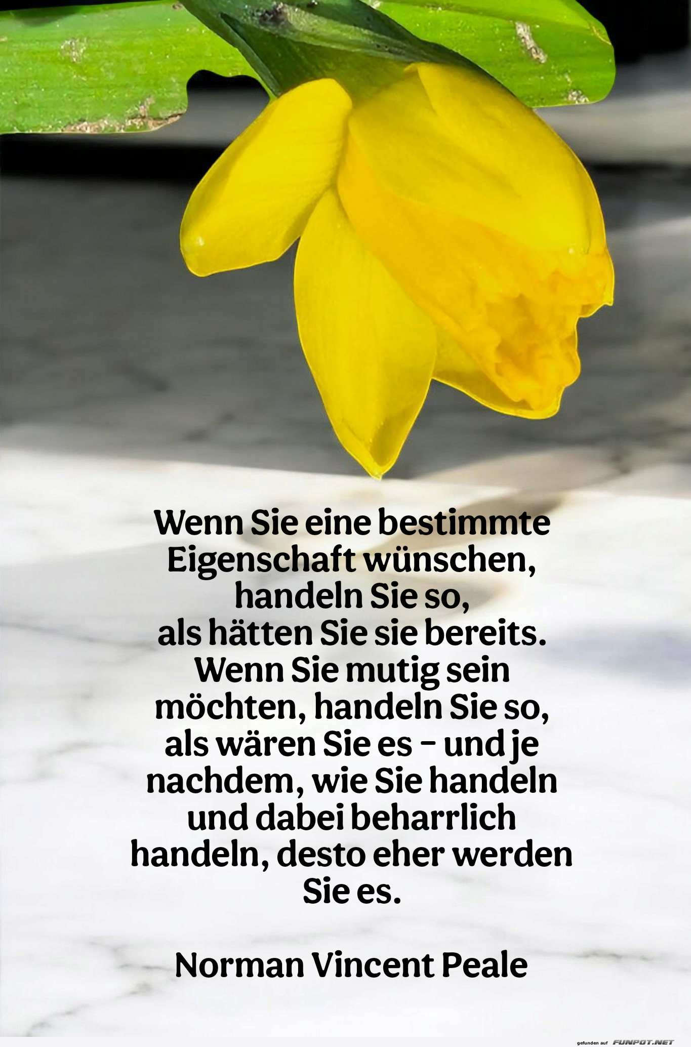 wenn sie eine bestimmte eigenschaft