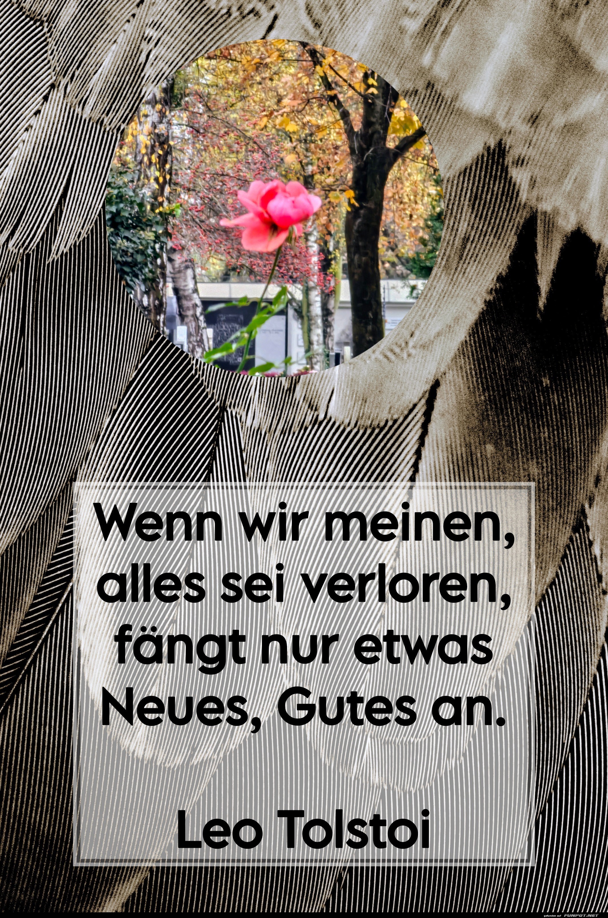 wenn wir meinen