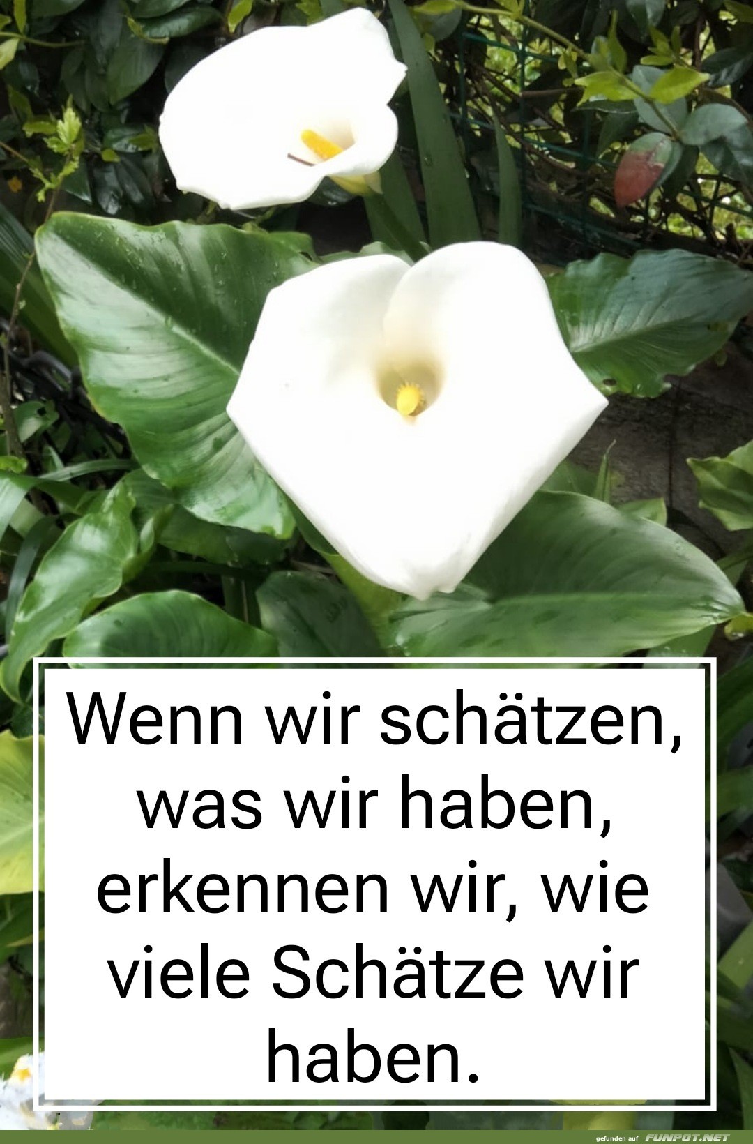 wenn wir sch�tzen
