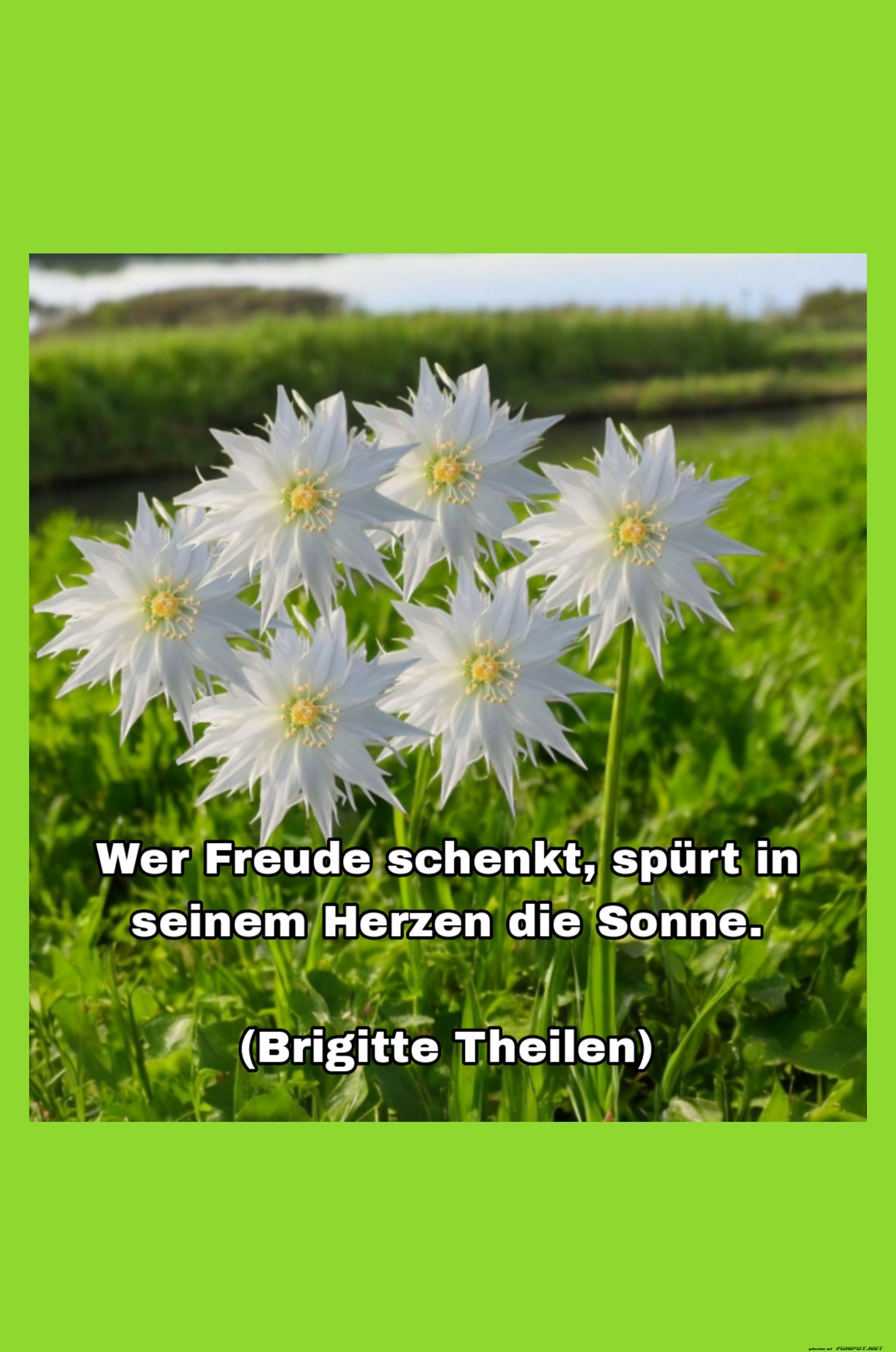 wer Freude schenkt