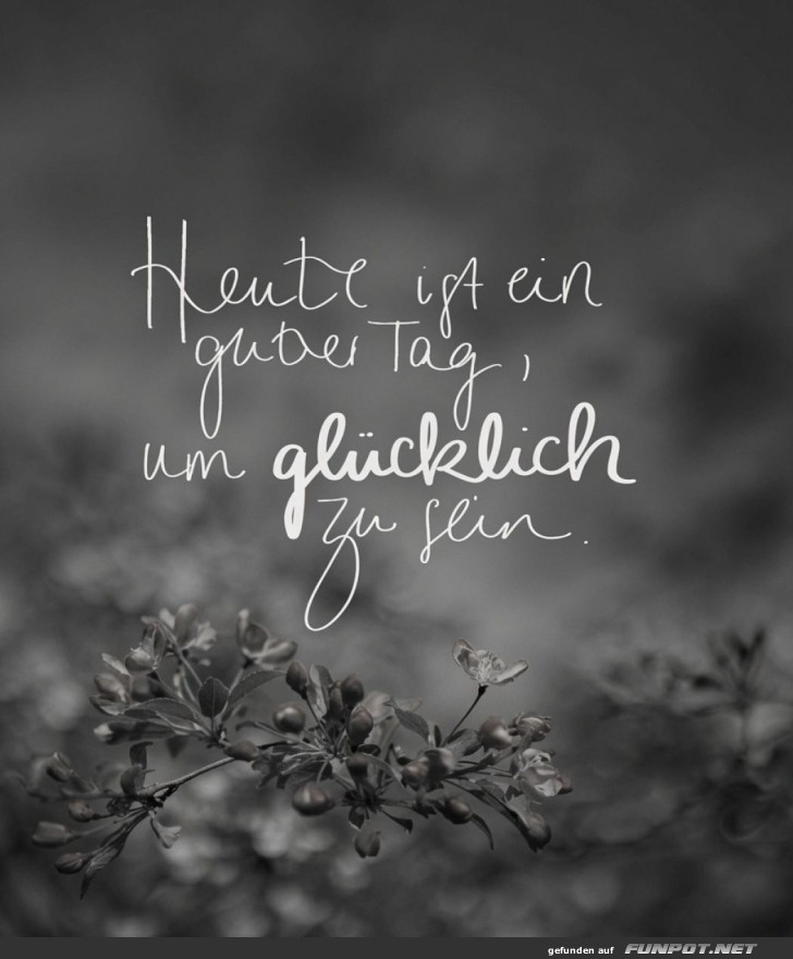 L�cheln: Der Tagesplan steht fest!
