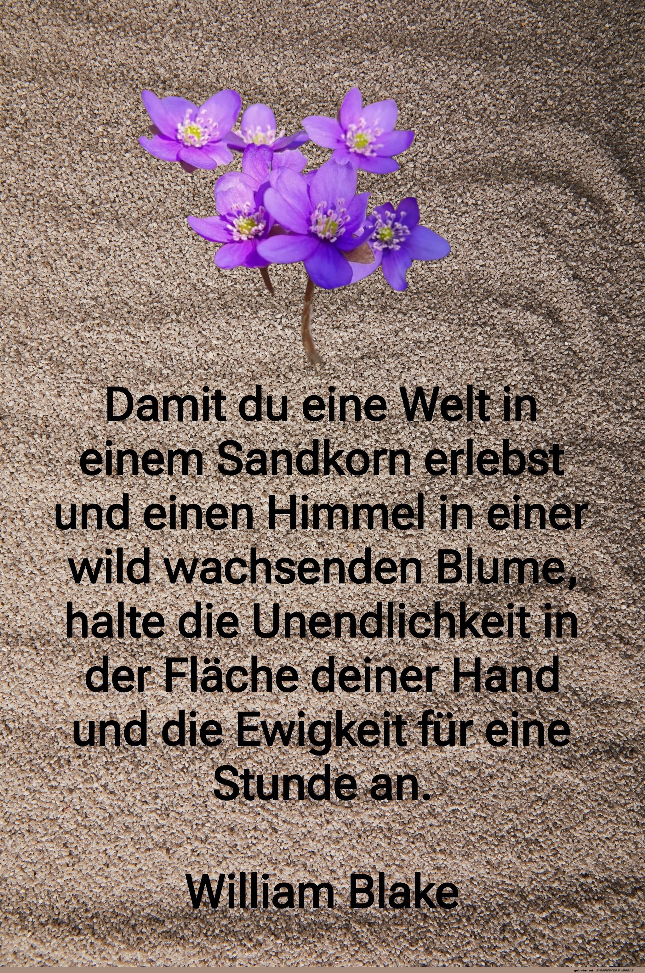 Damit du eine welt