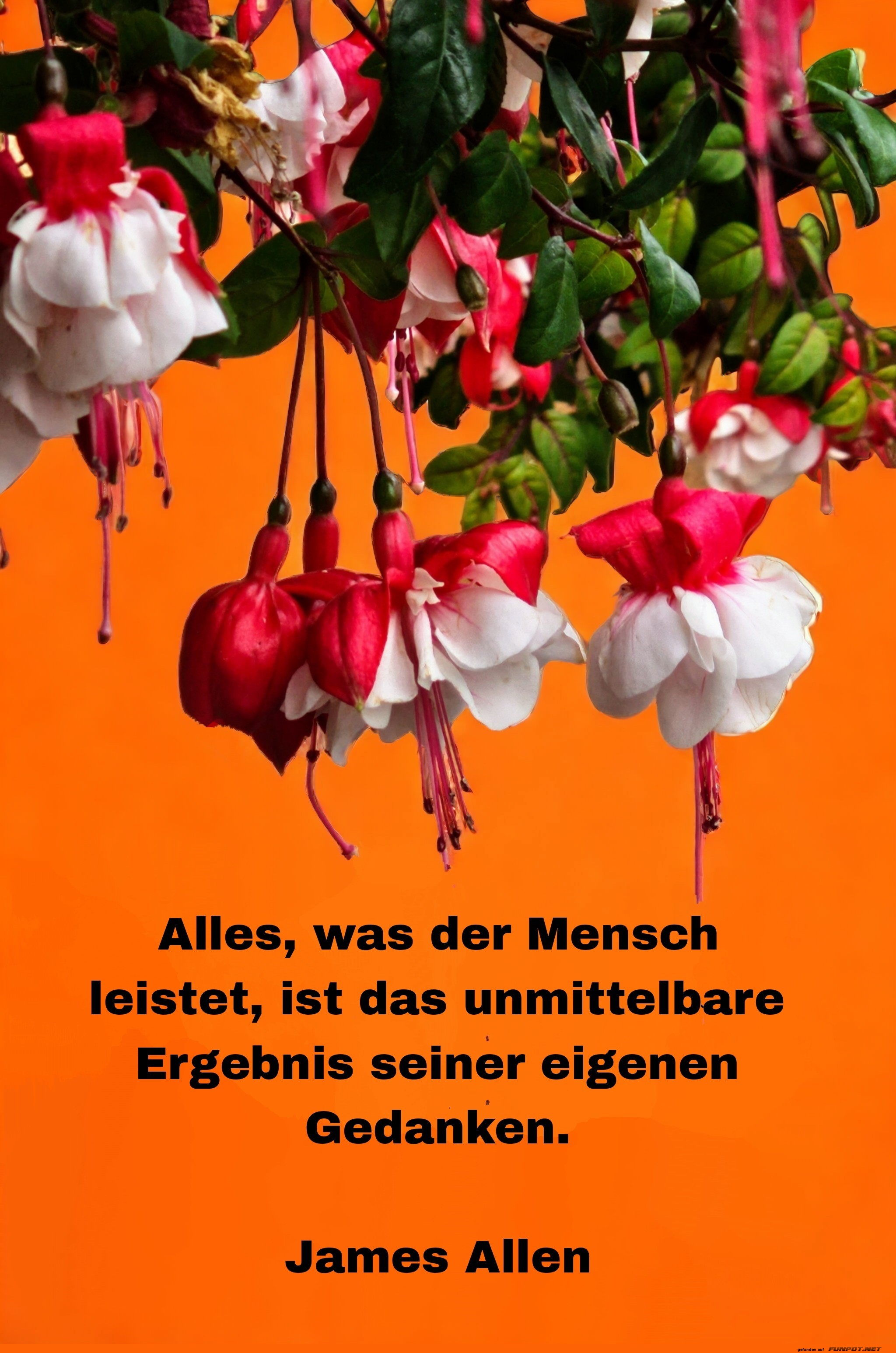 alles, was der mensch
